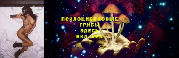 винт Няндома