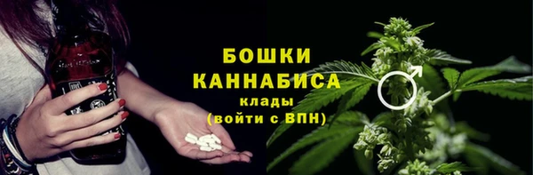 PSILOCYBIN Елизово