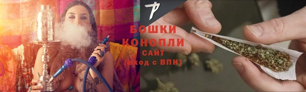 PSILOCYBIN Елизово