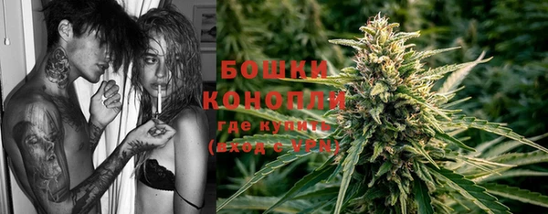 гидра Новокубанск