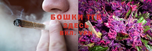 гидра Новокубанск
