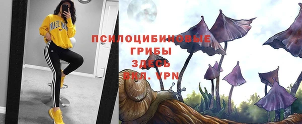 MESCALINE Новозыбков
