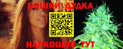 стафф Дубна