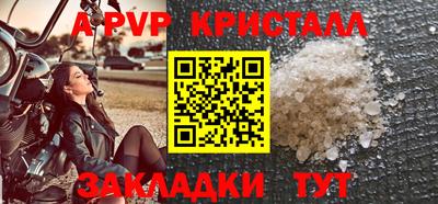 стафф Дубна
