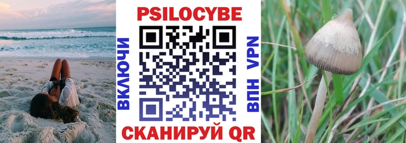 kraken ТОР  Рассказово  Псилоцибиновые грибы мицелий 