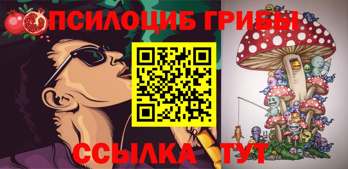 Галлюциногенные грибы прущие грибы  Вход с VPN  Рассказово 